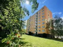 Pronájem bytu 1+kk, Říčany, 22 m2