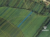 Prodej pole, Strání, 3148 m2