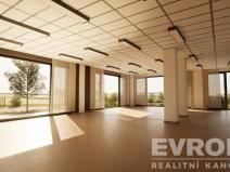 Prodej kanceláře, Praha - Ruzyně, Pilotů, 102 m2
