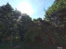 Prodej louky, Traplice, 4459 m2