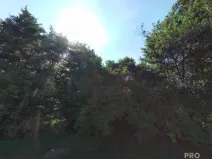 Prodej louky, Traplice, 4459 m2