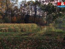 Prodej louky, Petrovice - Obděnice, 5258 m2