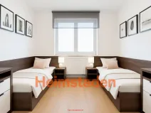 Pronájem bytu 1+kk, Plzeň - Jižní Předměstí, Magisterská, 27 m2