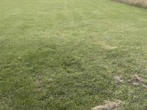 Prodej pozemku pro bydlení, Vavřinec, 1304 m2