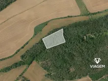 Prodej podílu lesa, Hrdlív, 2411 m2