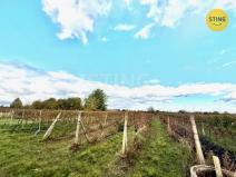 Prodej sadu/vinice, Prušánky, 700 m2