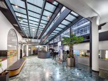 Pronájem obchodního prostoru, Praha, Krakovská, 300 m2