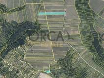 Prodej sadu/vinice, Dolní Kounice, 1926 m2