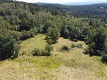 Dražba pole, Strašín, 33898 m2