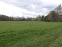 Dražba louky, Tachov, 23048 m2