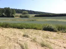 Dražba louky, Přeštěnice, 3046 m2