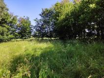 Prodej zahrady, Černovice - Panské Mlýny, 4180 m2