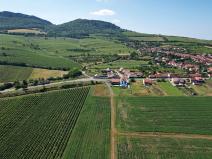 Prodej pole, Horní Věstonice, 1179 m2