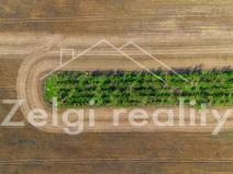 Prodej sadu/vinice, Zaječí, 8494 m2