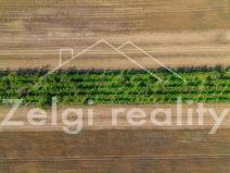 Prodej sadu/vinice, Zaječí, 8494 m2