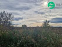 Prodej pole, Dubňany, 2371 m2