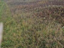 Prodej pole, Dubňany, 2371 m2