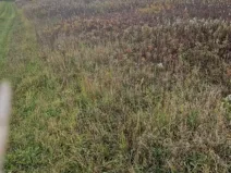 Prodej pole, Dubňany, 2371 m2