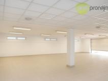 Pronájem skladu, Vyškov, Palánek, 460 m2