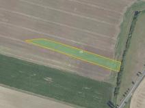 Prodej pole, Městec Králové, 17054 m2