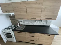 Pronájem bytu 2+1, České Budějovice - České Budějovice 3, Plzeňská, 50 m2