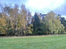 Prodej lesa, Srbice - Těšovice, 2923 m2