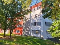 Prodej bytu 2+kk, Plasy, 56 m2