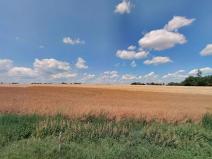 Prodej pole, Stránka, 7066 m2