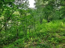 Prodej pozemku, Dolní Zimoř, 1049 m2