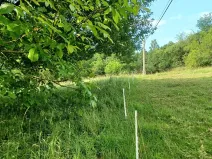 Dražba lesa, Česká Kamenice, 14221 m2