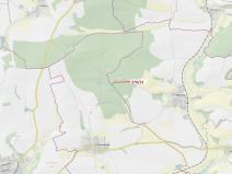 Dražba lesa, Milavče, 1537 m2