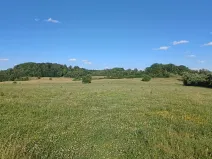 Dražba pozemku, Bohatice, 781 m2