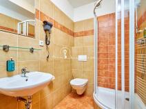 Prodej ubytování, Český Krumlov, Rooseveltova, 270 m2