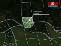 Prodej lesa, Jestřebí, 6855 m2