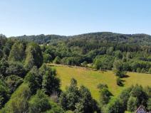 Prodej pozemku pro bydlení, Olešnice v Orlických horách, 4589 m2