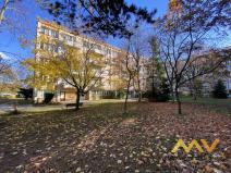 Prodej bytu 2+1, Hradec Králové - Slezské Předměstí, Severní, 44 m2