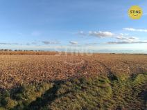 Prodej pole, Moravský Žižkov, 9180 m2