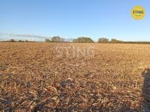 Prodej pole, Moravský Žižkov, 9180 m2