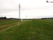 Prodej pole, Benátky nad Jizerou, Pražská, 6490 m2