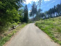 Dražba pozemku, Kladruby nad Labem, 698 m2