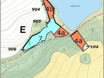 Prodej lesa, Černovice, 10978 m2