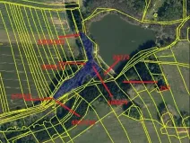 Prodej lesa, Černovice, 10978 m2