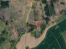 Prodej lesa, Zachotín, 792 m2