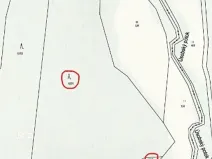 Prodej lesa, Havlíčkův Brod, 12933 m2