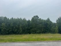 Dražba pozemku pro bydlení, Slavče, 1251 m2