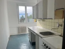 Prodej bytu 2+1, Plzeň, Elišky Krásnohorské, 62 m2