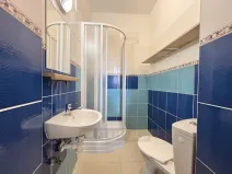 Pronájem bytu 1+kk, České Budějovice - České Budějovice 4, Dobrovodská, 19 m2