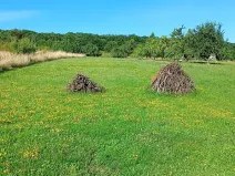 Prodej zahrady, Uherský Brod, 1066 m2