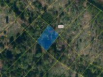 Dražba lesa, Náměšť nad Oslavou, 931 m2