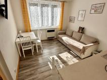 Pronájem bytu 1+1, Loket, Sportovní, 35 m2